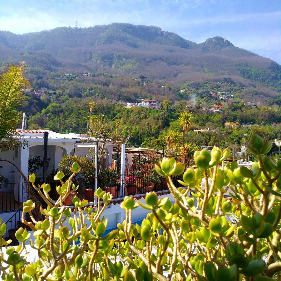 Hotel La Maggioressa Casamicciola Terme Buitenkant foto